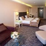هتل کانفوریوم(The Conforium Hotel ) یکی از هتل های پنج ستاره شهر وان می باشد که دوران پس از کرونا مورد بهره برداری قرار گرفت .