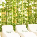 کلاب هتل فالکون (Club Hotel Falcon)