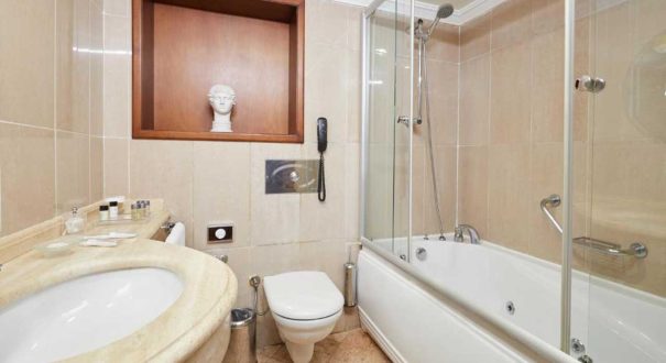 هتل ددمان استانبول (Dedeman Istanbul)