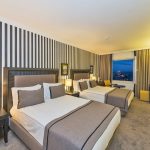 هتل آوانتگارد تکسیم(Avantgarde Hotel Taksim)